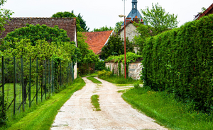Couvreur Urgence Nogent-sur-Marne